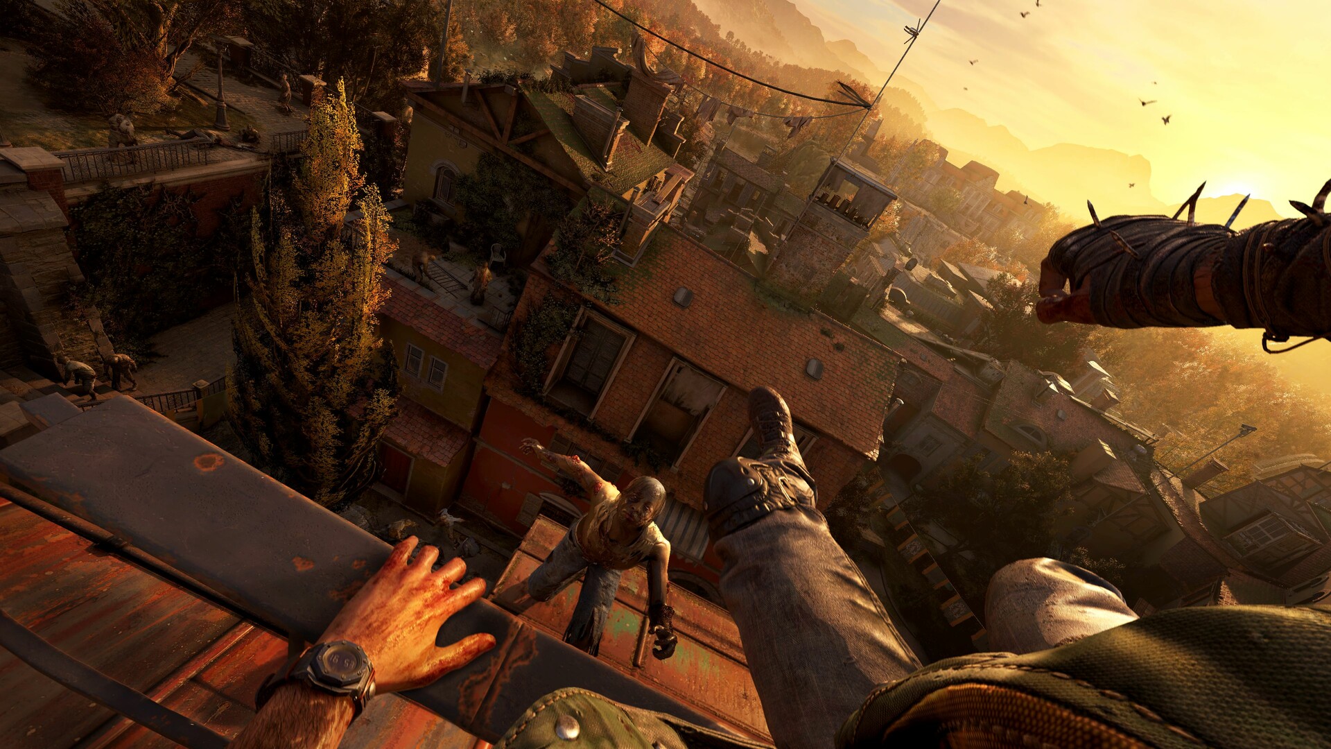 消逝的光芒:困兽/Dying Light: The Beast