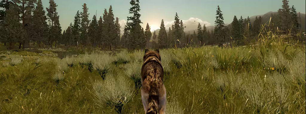 野狼谜踪：周年纪念版|wolfquest: anniversary edition|v3. 0. 1h|官方中文|支持手柄|容量15. 7g插图7咸鱼单机官网