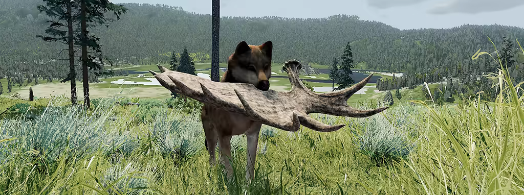 野狼谜踪：周年纪念版|wolfquest: anniversary edition|v3. 0. 1h|官方中文|支持手柄|容量15. 7g插图9咸鱼单机官网
