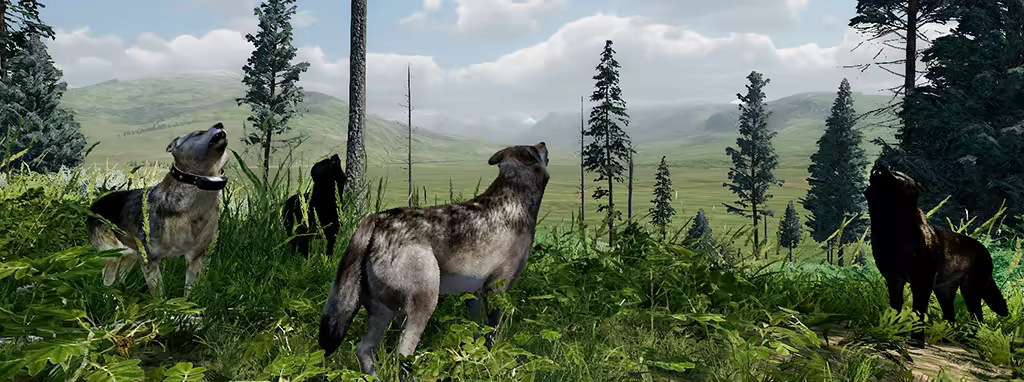 野狼谜踪：周年纪念版|wolfquest: anniversary edition|v3. 0. 1h|官方中文|支持手柄|容量15. 7g插图11咸鱼单机官网