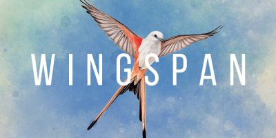 展翅翱翔(WINGSPAN) v1.8.1156 官方简体中文下载 – 支持手柄免安装 | 3.37GB