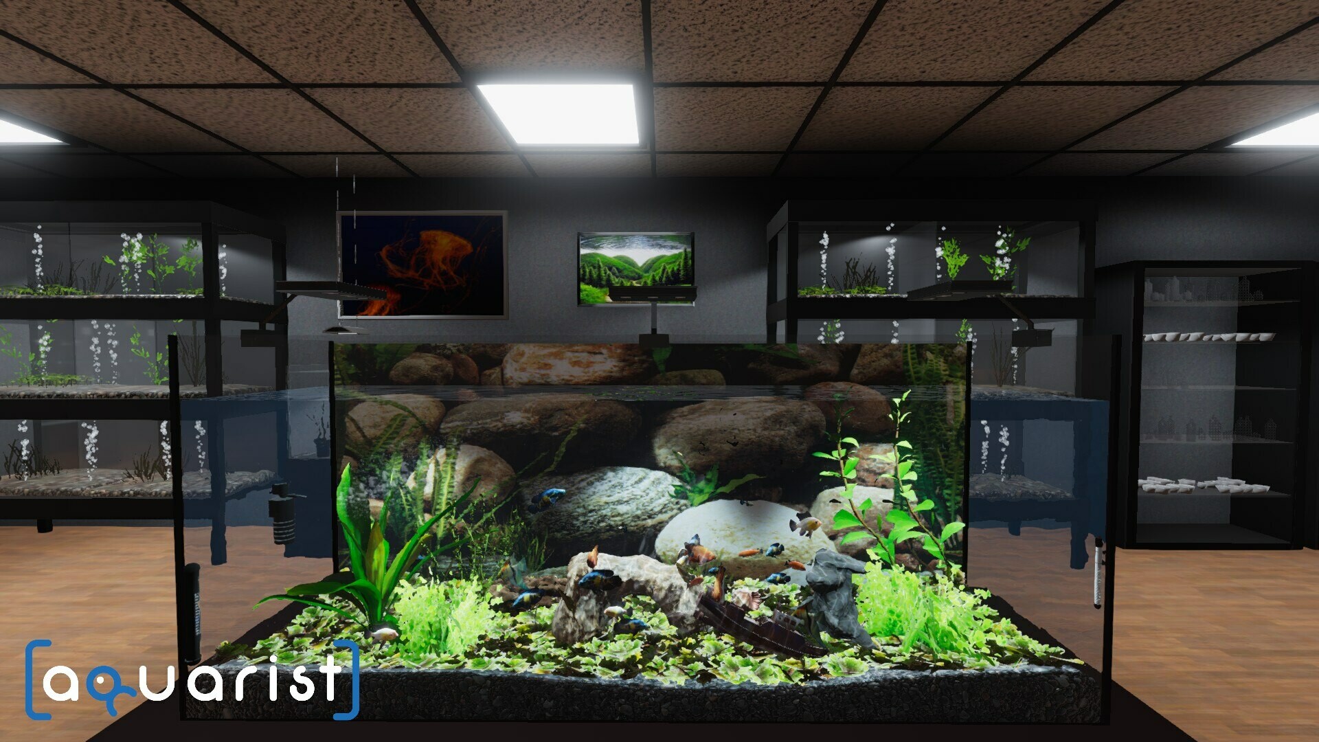 1646963434975133. Jpg Aquarist – 建造水族馆,养鱼,发展你的事业! 游戏截图 1
