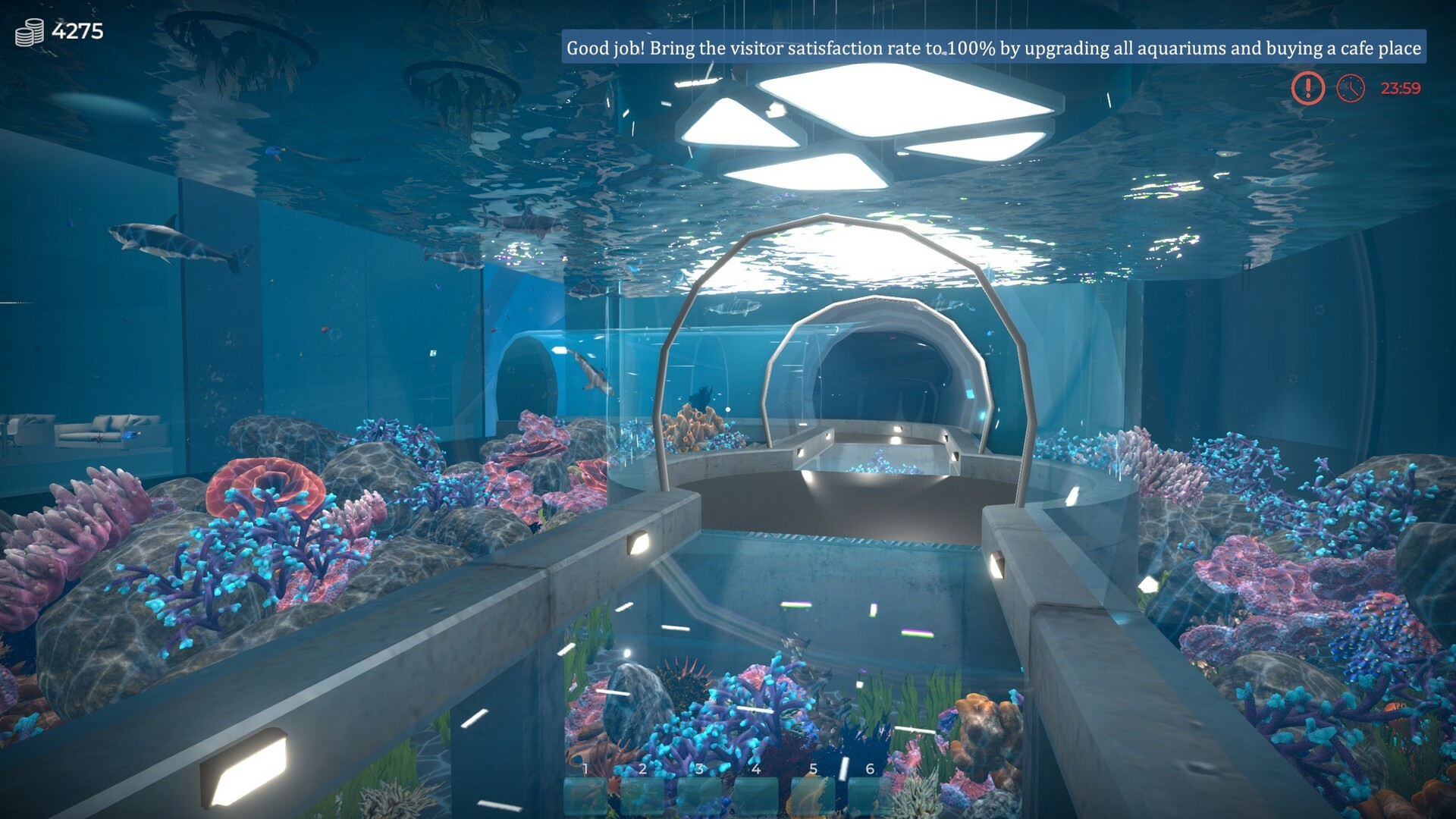 1646963434776132. Jpg Aquarist – 建造水族馆,养鱼,发展你的事业! 游戏截图 2
