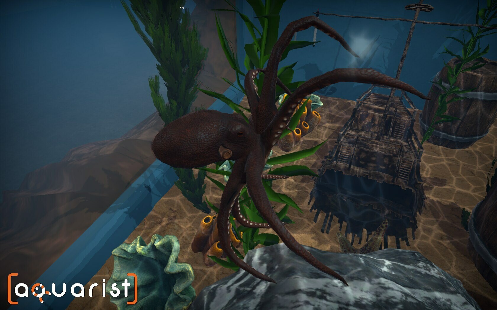 1646963434530283. Jpg Aquarist – 建造水族馆,养鱼,发展你的事业! 游戏截图 6