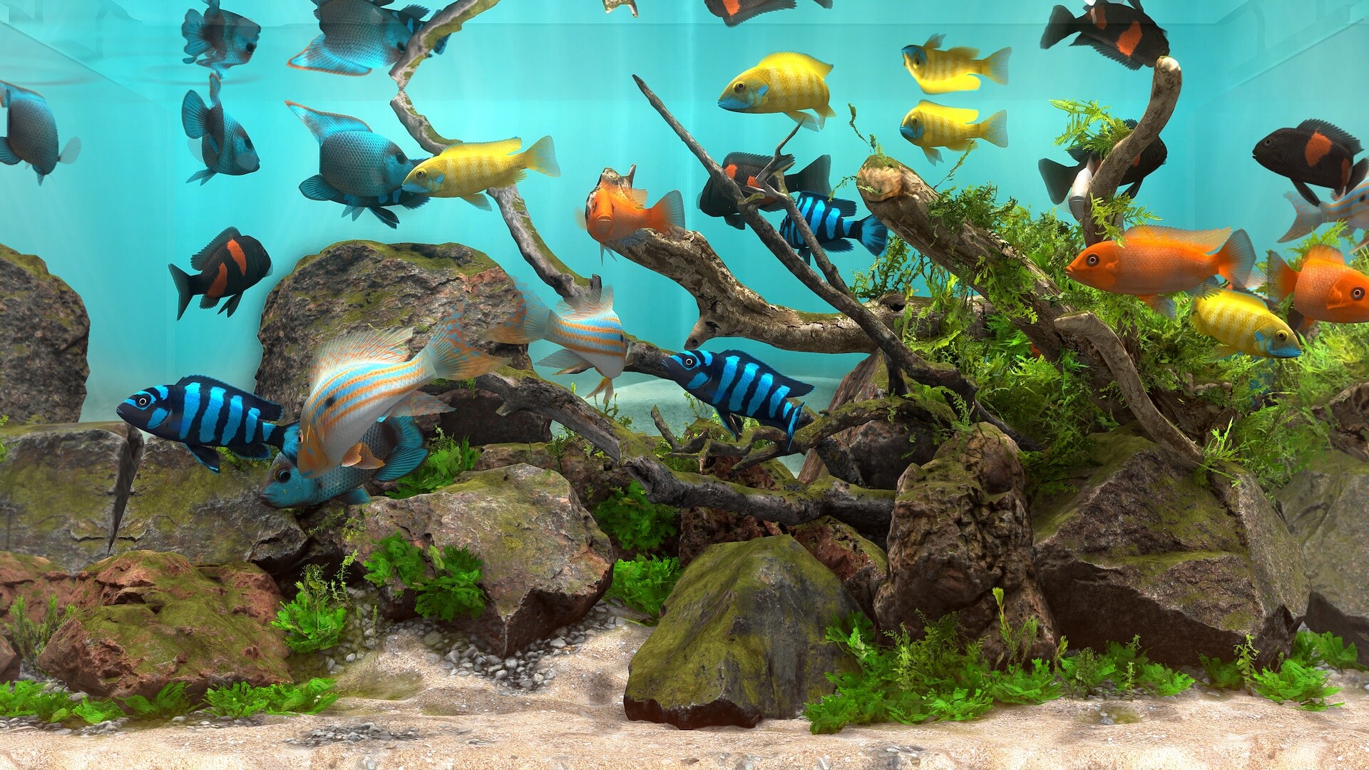 玻璃背后:水族馆模拟器 游戏截图 1