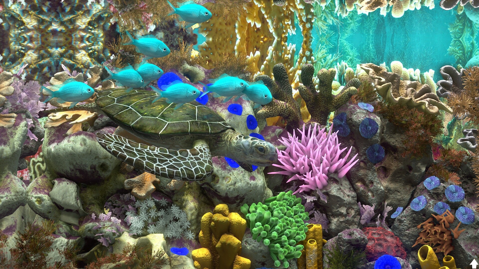 玻璃背后:水族馆模拟器 游戏截图 2