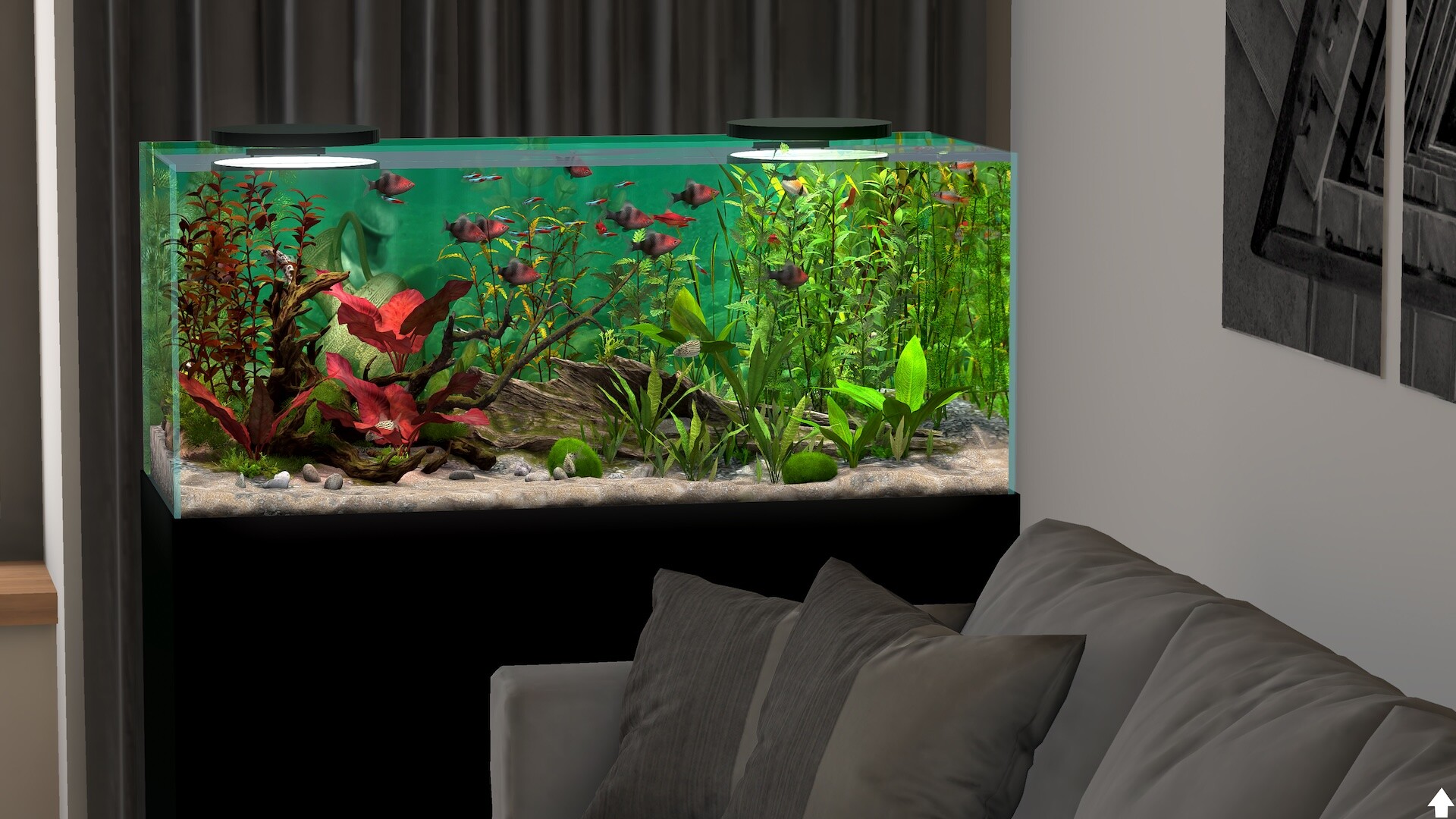 玻璃背后:水族馆模拟器 游戏截图 3