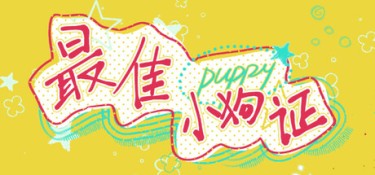 最佳小狗证（Best Puppy Certificate） Build.25522238 官方简体中文 – 支持、支持键鼠 | 1.5GB